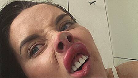 Big pig nose!(1920x1080 HD) MP4