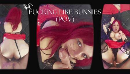 Fucking Like Bunnies (POV) - MKV