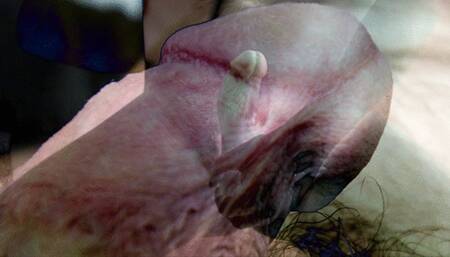 Circumcison Humiliation Mind Fuck