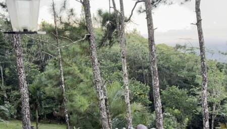 Having orgasm with the view