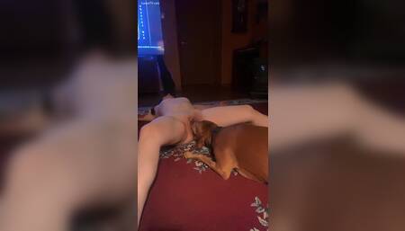 Gorgeous Girl Relaxes While Her Dog Eats Her Out