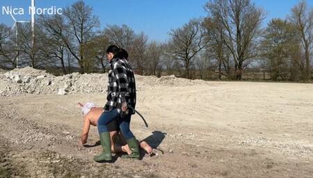 The last hours of a happy slaughter boar ( Softcut )