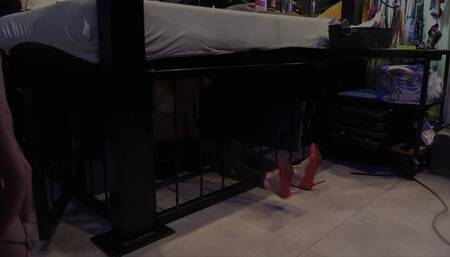 suck my dick and obey