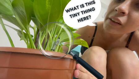 Is it an insect or a tiny one? (MP4-HD 1080p)