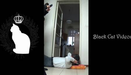 live show with Alice from 14 november 2022