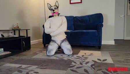 MinxGrrl - Straitjacket Puppy Play (WMV Format)