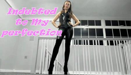 Indebted to My perfection (AVI)