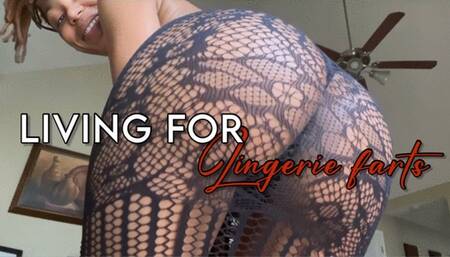 Living For Lingerie Farts