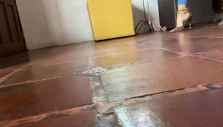 Katherine Itchy feet fantasy in Leopard pumps