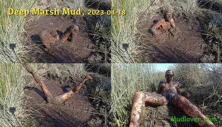 Deep Marsh Mud, 2023-04-18