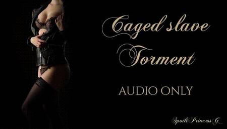 Caged slave Torment - Audio-Only