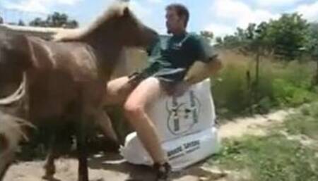 Педик с конём