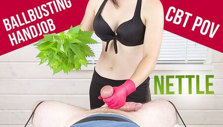 Ballbusting with Nettle Whipping POV CBT