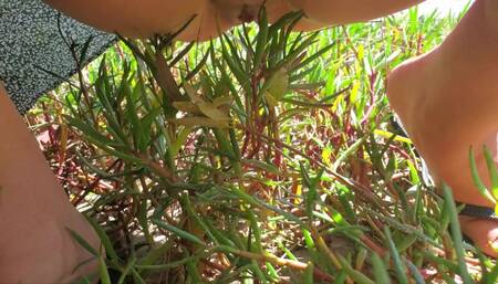 Quick Piss by the Beach
