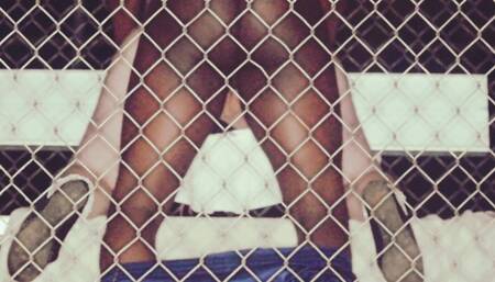 did i say before we are wild