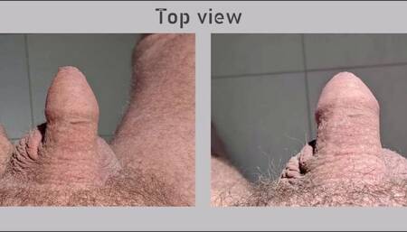 Small intro - Cock at rest under different angles