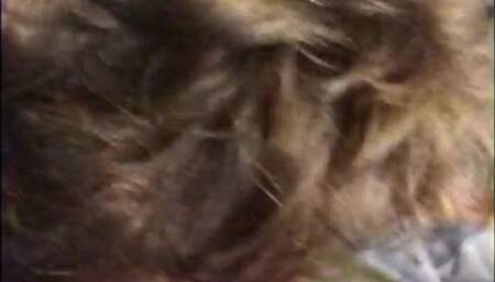 GAYLE CLOSEUP SLOMO BLOWJOB SHE IS A  DIRTY SLUT