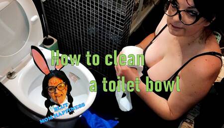 How to clean a toilet bowl