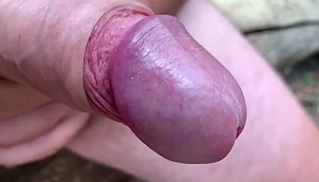 Masturbating in the woods