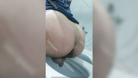 Pig ahmed pee and fart