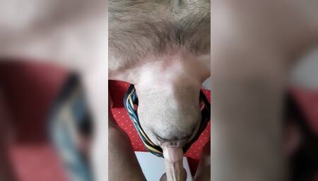 Blowjob on my back with cum and piss