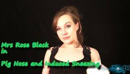 Pig Nose And Induced Sneezing-MP4