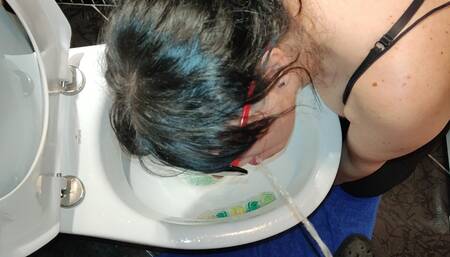 How to properly clean the toilet bowl