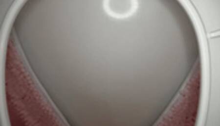 You Are Made To Be Personal Toilet Slave By Goddesses Melanie Hicks & Slyyy (SD 720p WMV)