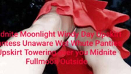 Midnite Moonlight Windy Day Upskirt Giantess Unaware Wet Whute Panties Upskirt Towering over you Midnite Fullmoon Outside