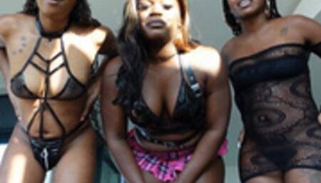 Ebony Dommes Puppy POV