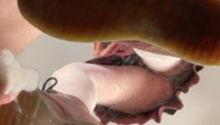 A Shoejob with well worn Doc Martens - CBT - POV and underglass cumshot - doublecam - HD