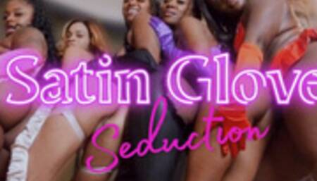 Luxury Dommes Satin Gloves Seduction
