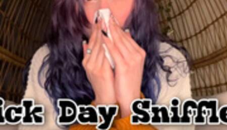 Sick Day Sniffles Sneezing and Nose Blowing