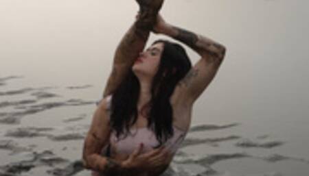 Equinox, starring Orchid