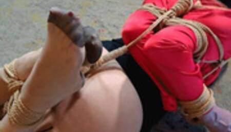 Getting to know sky high Sky!