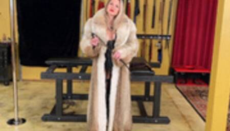 Let The Whipping Commence (SD)