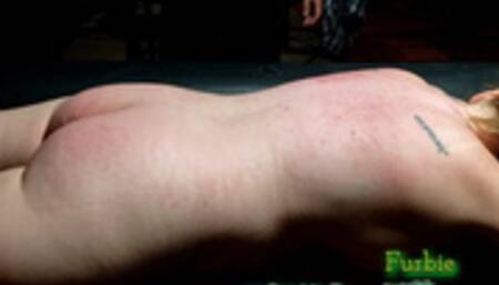 Double Flogging Furbie