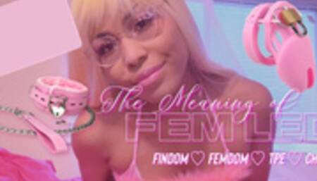 The Meaning of Fem Led