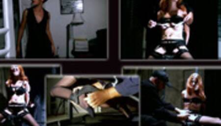 TC 2013 Vol 5 - Spy Kat