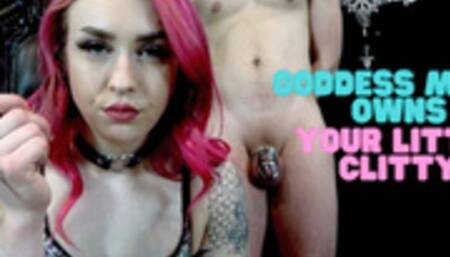Goddess Macy Owns Your Little Clitty - WMV