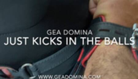 GEA DOMINA - JUST KICKS IN THE BALLS