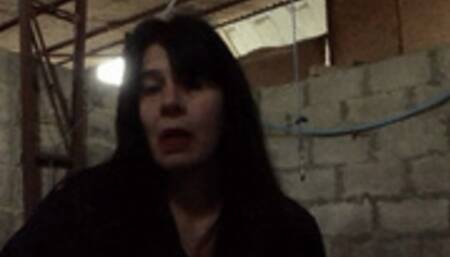 I Take You Down To The Stable