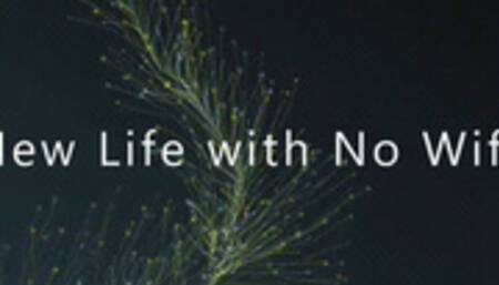 New Life with No Wife *wmv*