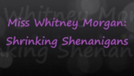 Shrinking Shenanigans Vore with Whitney Morgan - wmv
