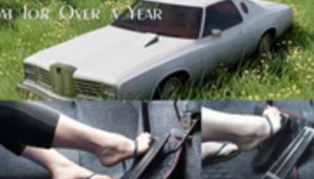 The Land Yacht Series: Sat for Over a Year (mp4 720p)