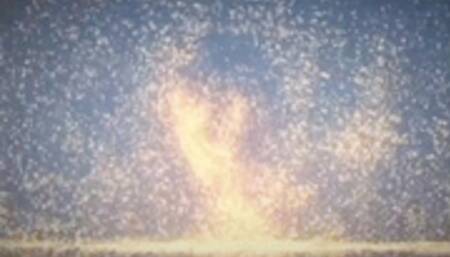 Meditation and Masturbation