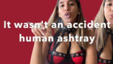 It wasn't an accident-human ashtray