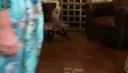 A Wife's Affair With Her Cuckhold's Boss Part 2 of 4