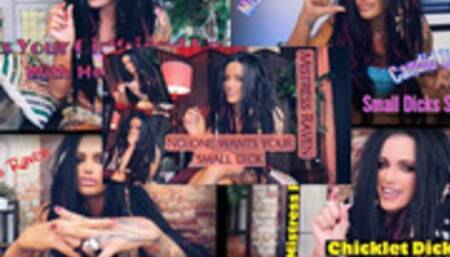 SPH BUNDLE OF 5 CLIPS