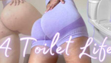 A Toilet Life
